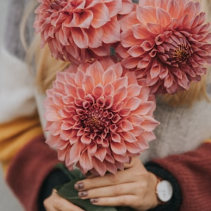 Flower Gardening Starter Pack